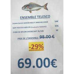 ENSEMBLE TELESCO DAIWA...
