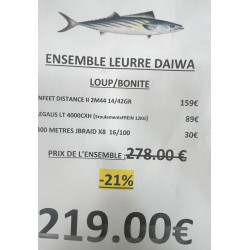 ENSEMBLE LEURRE DAIWA...