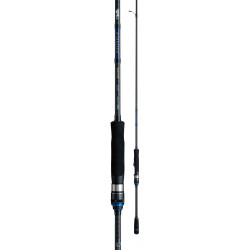 ENSEMBLE EGING Crazee - Daiwa