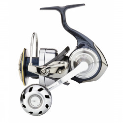 DAIWA CERTATE 19 LT ARK