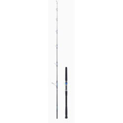 CANNE SALTIGA GT 86 DAIWA