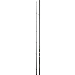 CANNE LEGALIS SEABASS DAIWA