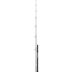 CANNE SALTIGA CASTING DAIWA