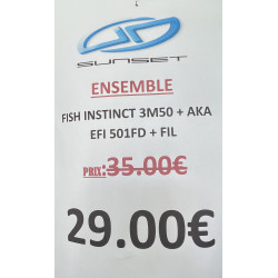 ENSEMBLE FISH INSTINCT +AKA...