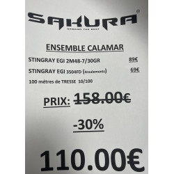 ENSEMBLE STINGRAY EGI...