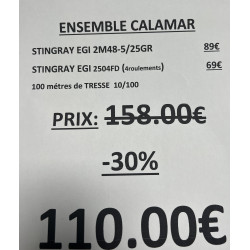 ENSEMBLE STINGRAY EGI...