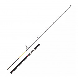 Canne Spinning Daiwa...