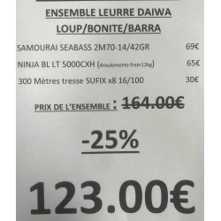 ENSEMBLE LEURRE DAIWA...