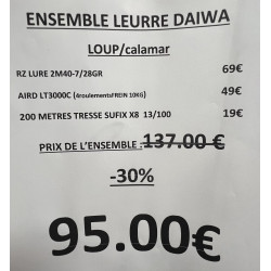 ENSEMBLE LEURRE DAIWA...