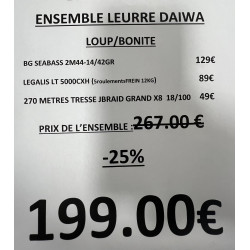 ENSEMBLE LEURRE DAIWA...