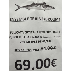 ENSEMBLE TRAINE / BROUME...