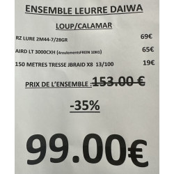 ENSEMBLE LEURRE DAIWA LOUP...